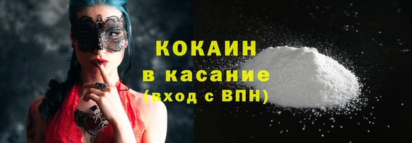 соль ск Алзамай